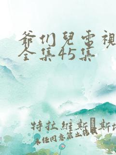 爷们儿电视剧 全集45集