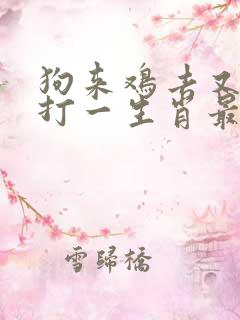 狗来鸡去又一年打一生肖最佳答案 狗来鸡去又一年打一生肖最佳答案