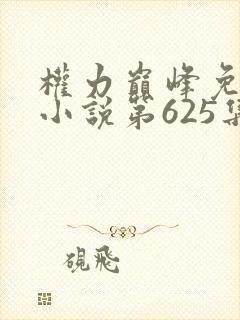 权力巅峰免费听小说第625集