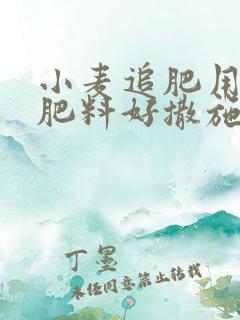 小麦追肥用什么肥料好撒施