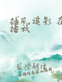 捕风追影 在线播放