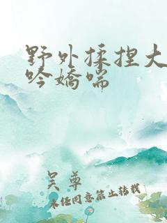 野外揉捏大乳呻吟娇喘