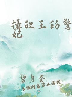 摄政王的惊世嫡妃
