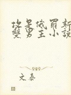 攻是俄罗斯人的双男主小说