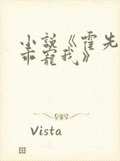 小说《霍先生乖乖宠我》
