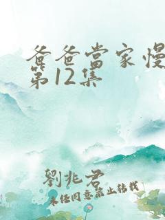 爸爸当家慢享季第12集 爸爸当家慢享季第12集