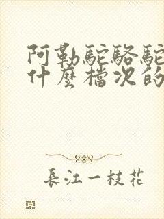 阿勒驼骆驼奶是什么档次的