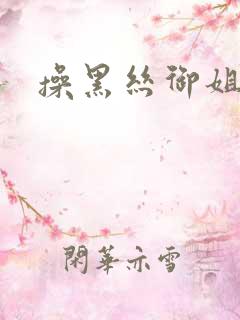 操黑丝御姐的逼