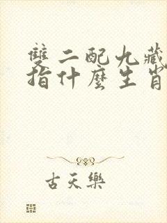 双二配九藏小钱指什么生肖