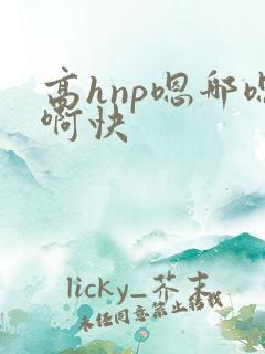 高hnp嗯哪嗯啊快