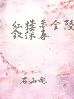 红楼梦金陵十二钗探春