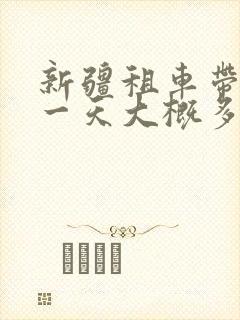 新疆租车带司机一天大概多少钱