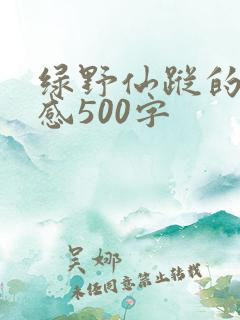 绿野仙踪的读后感500字