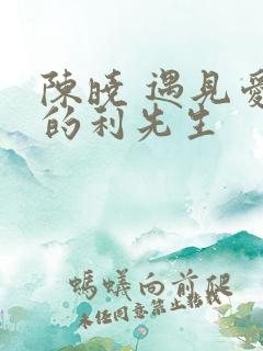 陈晓 遇见爱情的利先生