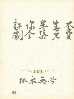 许你半生不见短剧全集免费播放