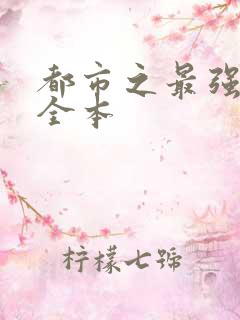 都市之最强狂兵全本