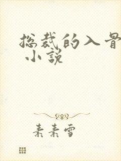 总裁的入骨宠妻 小说