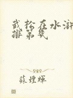 武松在水浒传里排第几