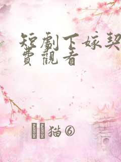 短剧下嫁契约免费观看