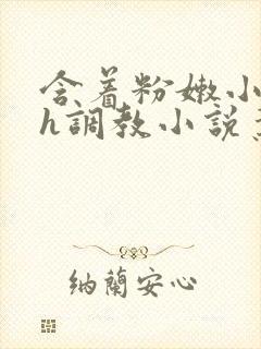 含着粉嫩小奶头h调教小说叶渺渺
