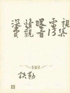 深情眼电视剧免费观看13集