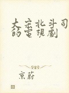大宋北斗司类似的电视剧