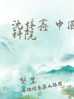 沈梓鑫 中国社科院