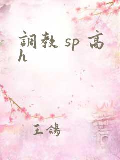 调教 sp 高h