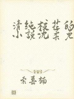 清纯校花的日常小说沈柔免费阅读