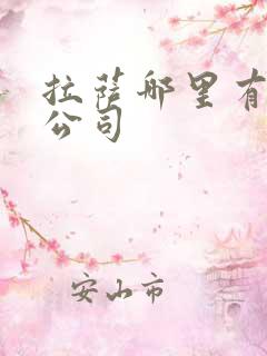 拉萨哪里有租车公司