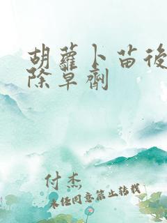 胡萝卜苗后专用除草剂