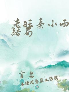 老旺秦小雨最后结局