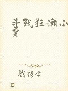 斗战狂潮小说免费