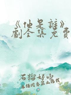 《他是谁》电视剧全集免费观看