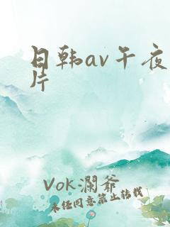 日韩av午夜爽片
