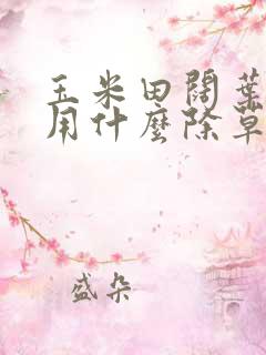 玉米田阔叶杂草用什么除草剂