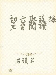 初六与苏梅小说免费阅读