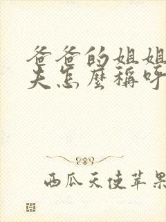 爸爸的姐姐的丈夫怎么称呼