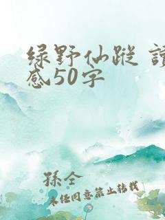 绿野仙踪 读后感50字