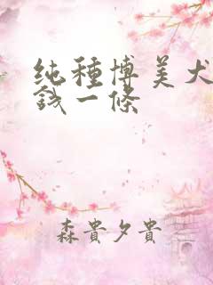 纯种博美犬多少钱一条