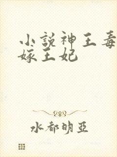小说神王毒宠二嫁王妃