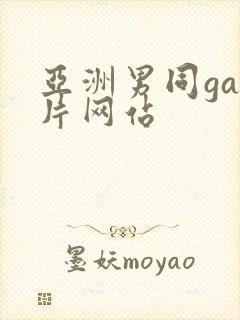 亚洲男同gay片网站 亚洲男同gay片网站