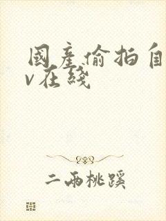 国产偷拍自拍av在线