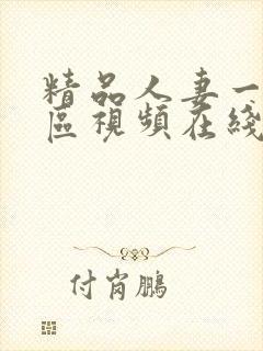 精品人妻一区二区视频在线
