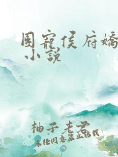 团宠侯府娇夫人 小说