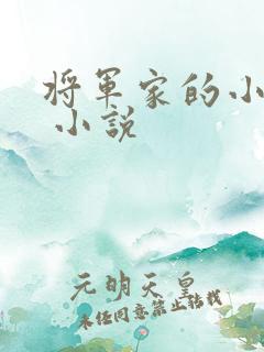将军家的小娘子 小说