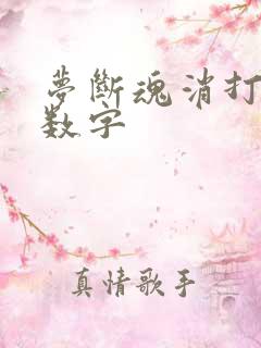 梦断魂消打三个数字