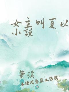 女主叫夏以荨的小说