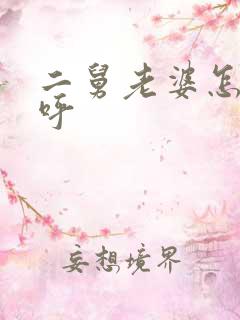 二舅老婆怎么称呼