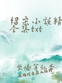 绍宋小说精校版全集txt